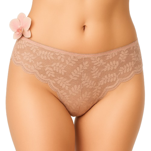 Lace Penty