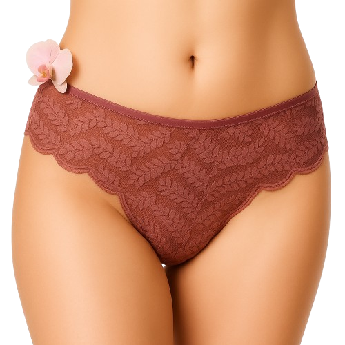 Lace Penty